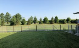 cantilever gate in backyard